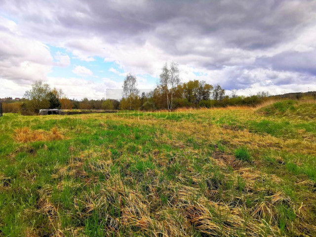 Działka Sprzedaż Głogoczów