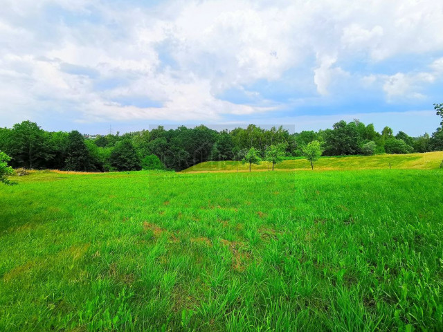 Działka Sprzedaż Chorowice