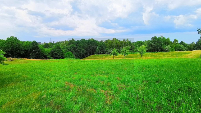 Działka Sprzedaż Chorowice