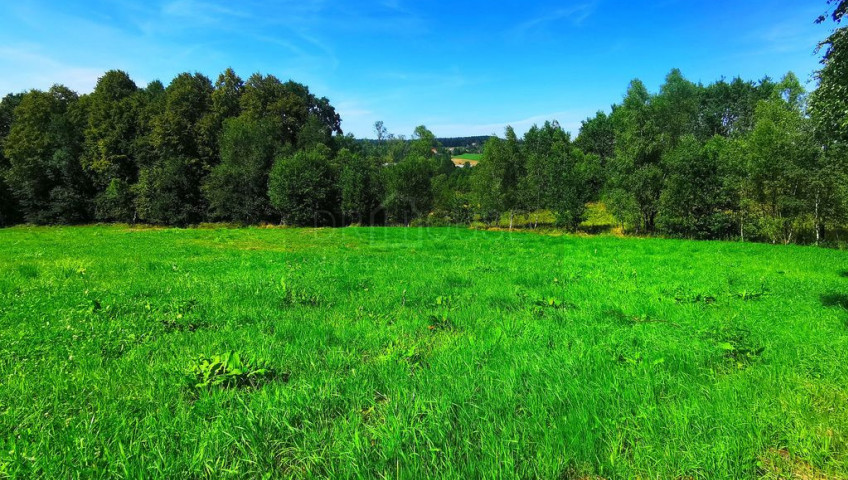 Działka Sprzedaż Głogoczów