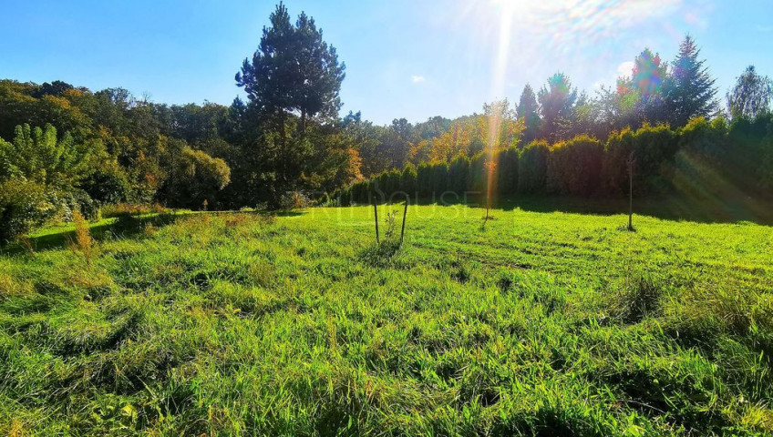 Działka Sprzedaż Chorowice