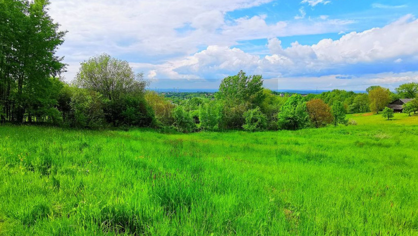 Działka Sprzedaż Chorowice