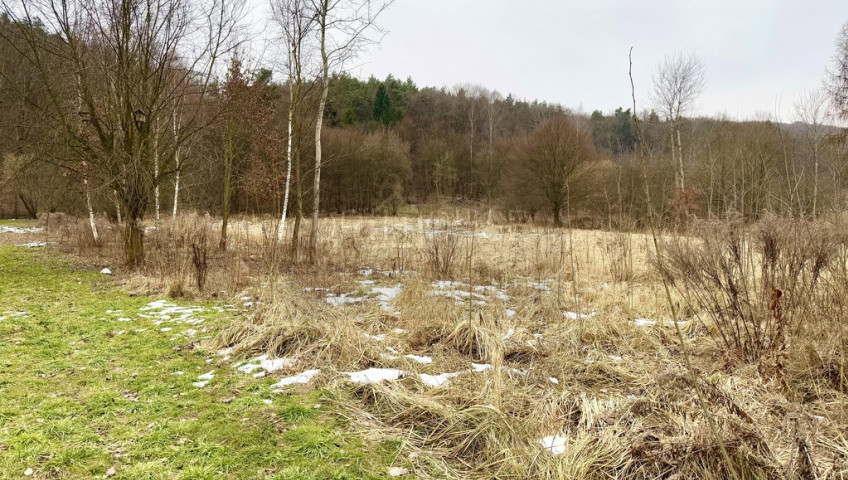 Działka Sprzedaż Kochanów Lubomirskich